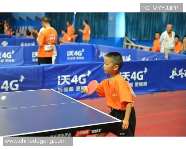 聚焦乒乓球：探讨成都乒乓球队在速度训练中的创新与挑战