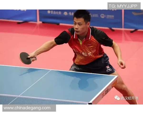 武汉乒乓球队实力强劲荣登全国速度排行榜第三名